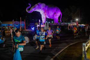 BIB: 
                            <button type="button" onclick="openModal(26552350)" class="btn btn-primary btn-sm float-right btn-popup" data-toggle="modal" data-target=".modal-high-quality">
                        <i class="fas fa-shopping-cart"></i> Add to Cart
                    </button>
                                            <button type="button" onclick="isThisMe(26552350, true)" class="btn btn-success btn-sm float-right btn-popup btn-isme hidden" data-toggle="tooltip" data-placement="bottom" title="นี่คือรูปของคุณใช่ไหม คลิกที่นี่เพื่อเอาเข้าอัลบั้ม">
                        <i class="fas fa-plus"></i> Add to album
                    </button>
                    <button type="button" onclick="isThisMe(26552350, false)" class="btn btn-warning btn-sm float-right btn-popup btn-isnotme hidden">
                        <i class="fas fa-ban"></i> Remove from album
                    </button>